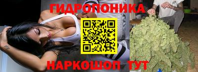 jwh Бийск
