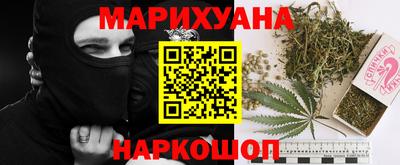 jwh Бийск