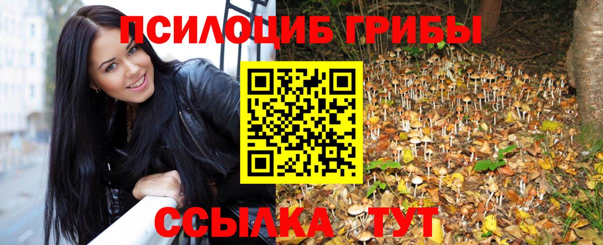 Псилоцибиновые грибы мухоморы Гурьевск