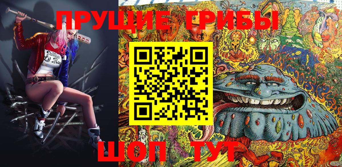 Псилоцибиновые грибы Psilocybe  Вход с VPN  Гурьевск 